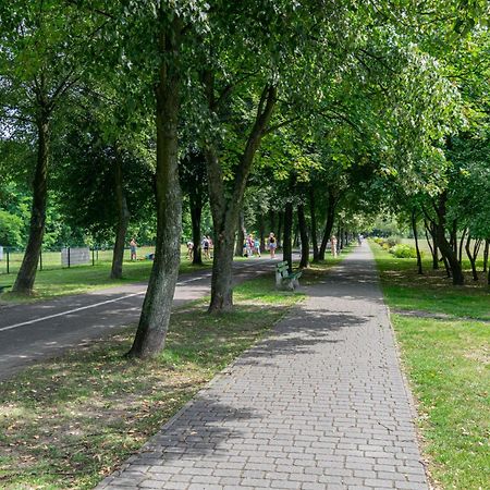 Oasis Trzy Stawy - Free Parking - Self Check-In Apartment Katowice Bagian luar foto