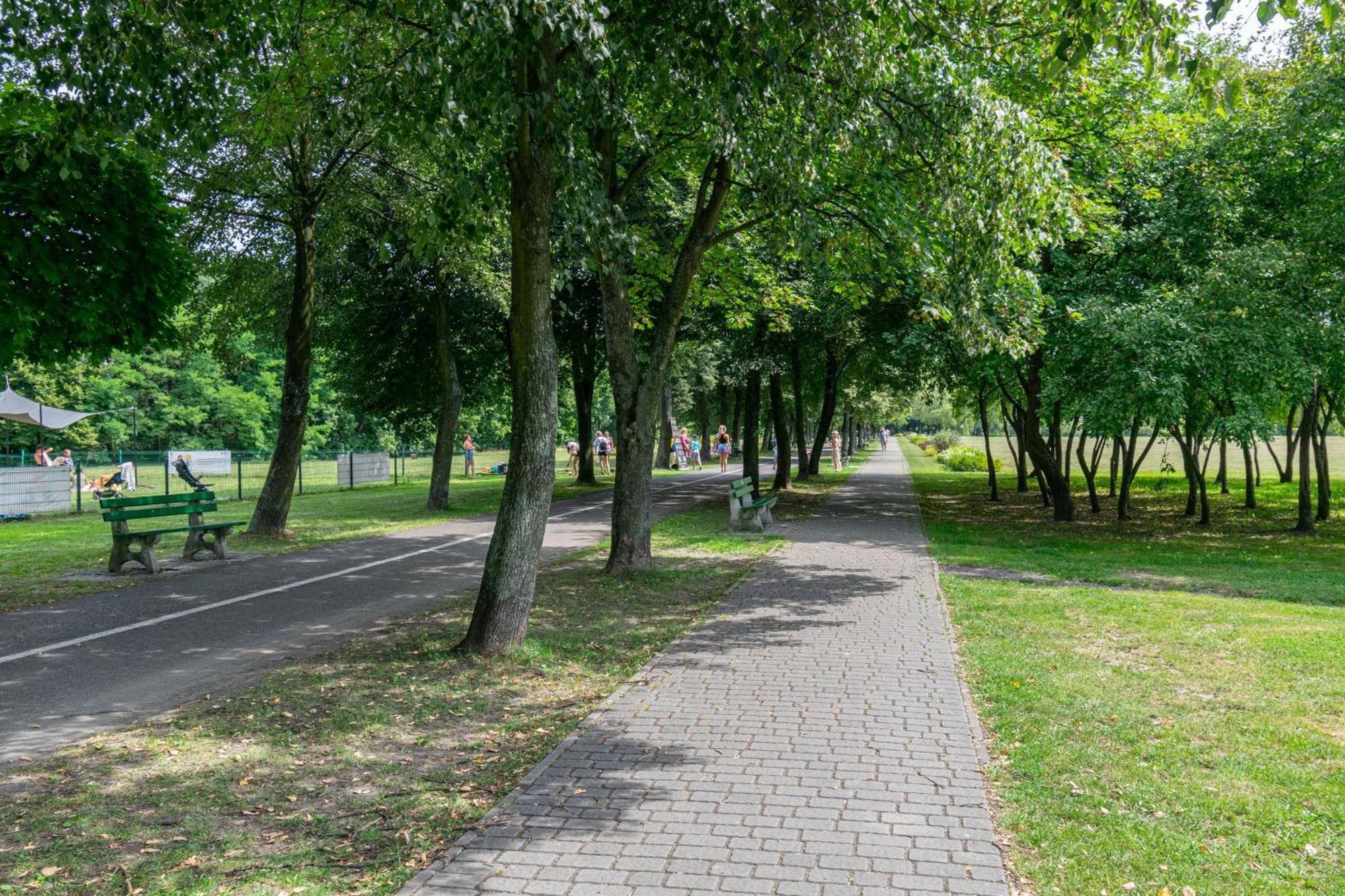 Oasis Trzy Stawy - Free Parking - Self Check-In Apartment Katowice Bagian luar foto